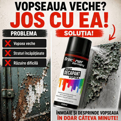 Spray Decapant pentru Îndepărtarea Rapidă a Vopselei – 450 ml