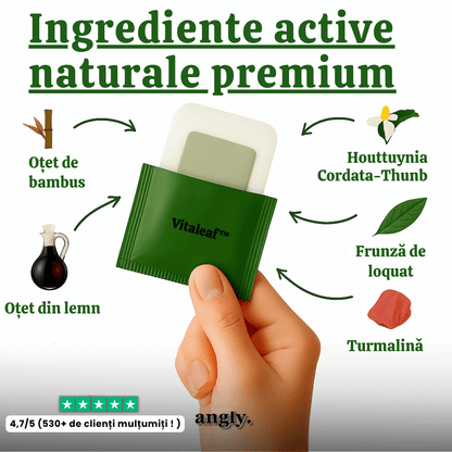 Plasturi DETOX - Vitaleaf™
