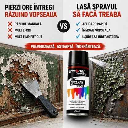 Spray Decapant pentru Îndepărtarea Rapidă a Vopselei – 450 ml